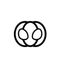 Capitan Zulu Prod